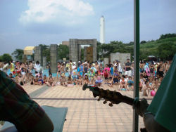 2010.07.31 太陽が丘プールライブ