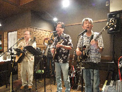 2012.08.11 白い花